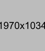 Lorem Ipsum is simply dummy text of the gallery